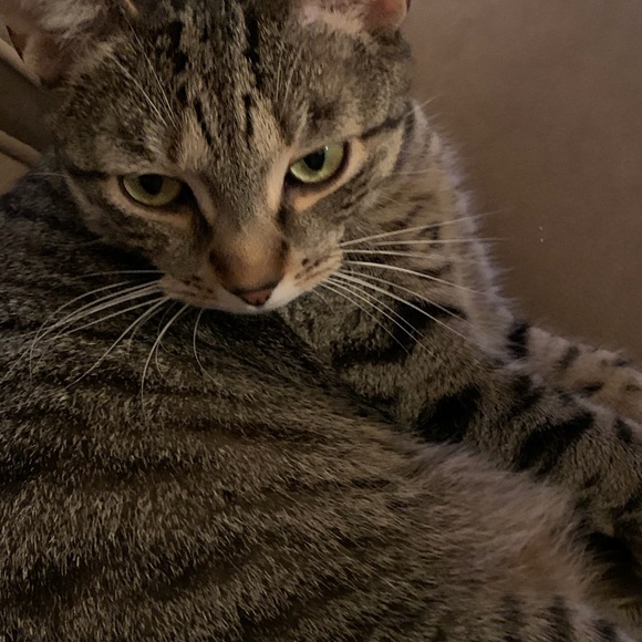 Meet your Posher, Patty - Picture 10 of 12